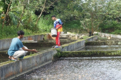 mqwonosobo_5